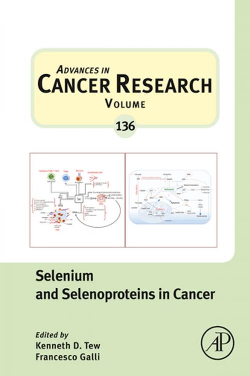 Cover of the book Selenium and Selenoproteins in Cancer by Kenneth D. Tew, Elsevier Science
