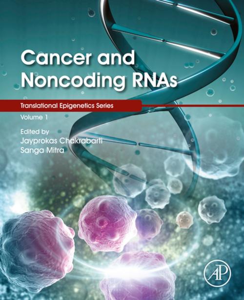 Cover of the book Cancer and Noncoding RNAs by Trygve Tollefsbol, Elsevier Science