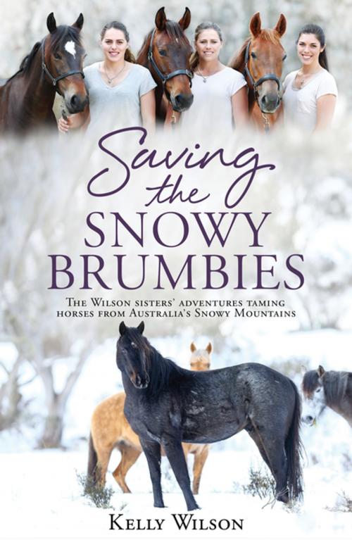 Cover of the book Saving the Snowy Brumbies by Kelly Wilson, Penguin Random House New Zealand