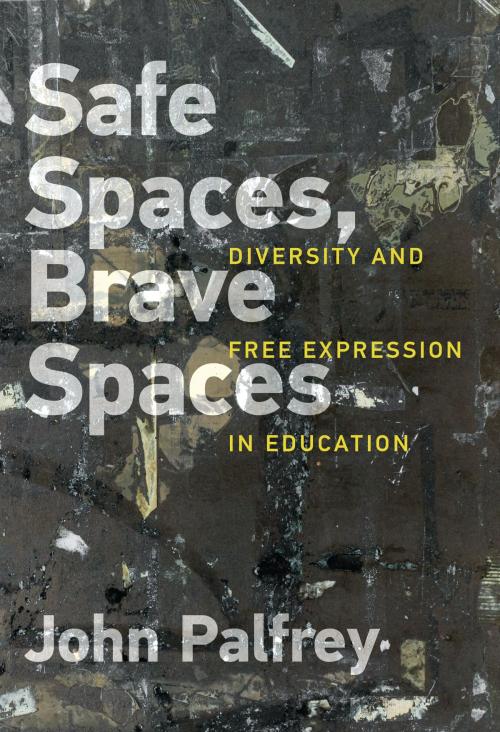 Cover of the book Safe Spaces, Brave Spaces by John Palfrey, The MIT Press