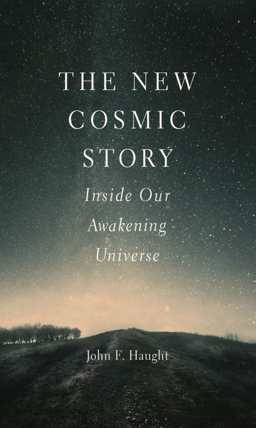 Cover of the book New Cosmic Story by John F. Haught, Yale University Press