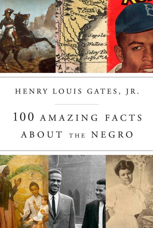 Cover of the book 100 Amazing Facts About the Negro by Henry Louis Gates, Jr., Knopf Doubleday Publishing Group