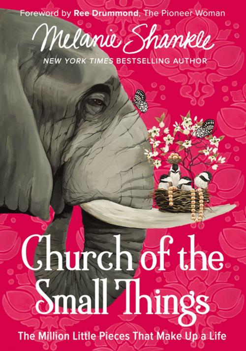 Cover of the book Church of the Small Things by Melanie Shankle, Zondervan
