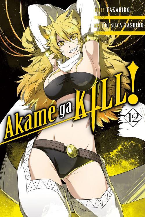 Cover of the book Akame ga KILL!, Vol. 12 by Tetsuya Tashiro, Takahiro, Yen Press