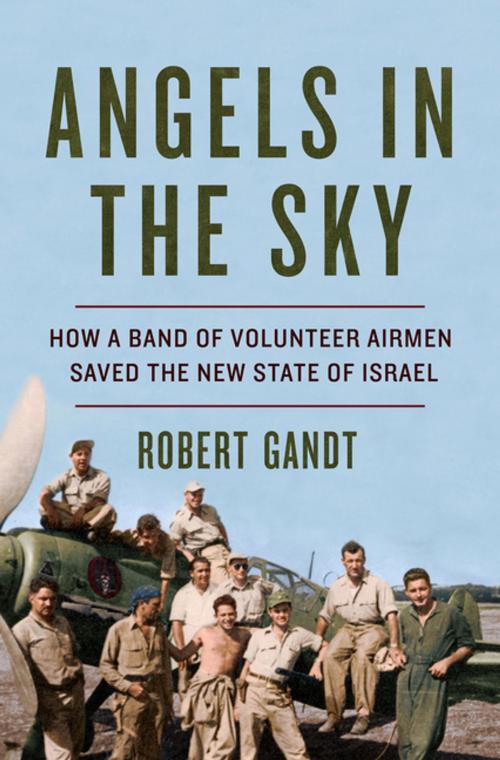 Cover of the book Angels in the Sky: How a Band of Volunteer Airmen Saved the New State of Israel by Robert Gandt, W. W. Norton & Company