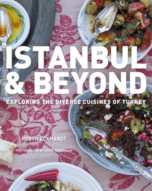 Cover of the book Istanbul and Beyond by Robyn Eckhardt, David Hagerman, HMH Books