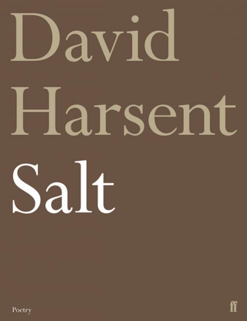 Cover of the book Salt by David Harsent, Faber & Faber