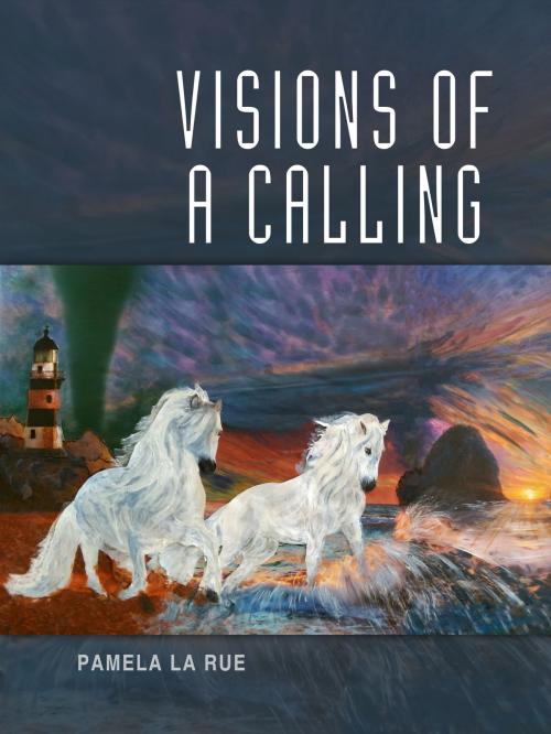 Cover of the book Visions of a Calling by Pamela La Rue, Pamela La Rue