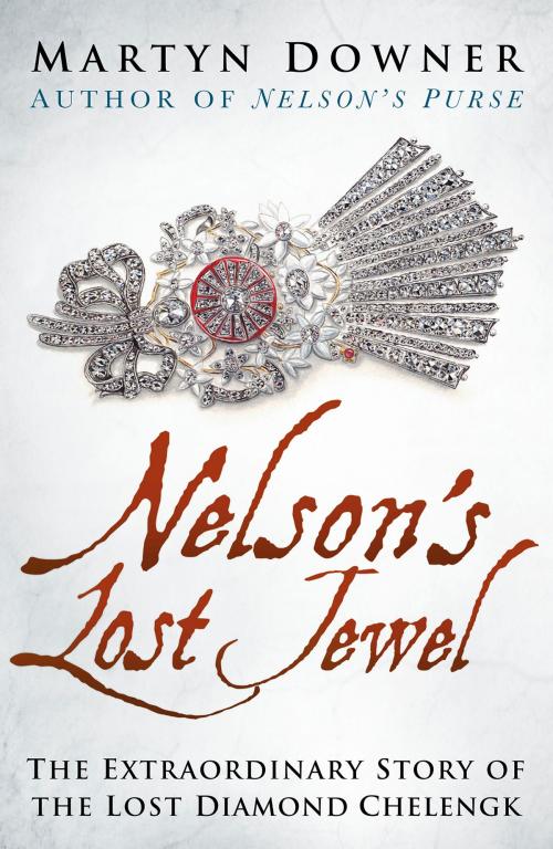 Cover of the book Nelson's Lost Jewel by Martyn Downer, The History Press