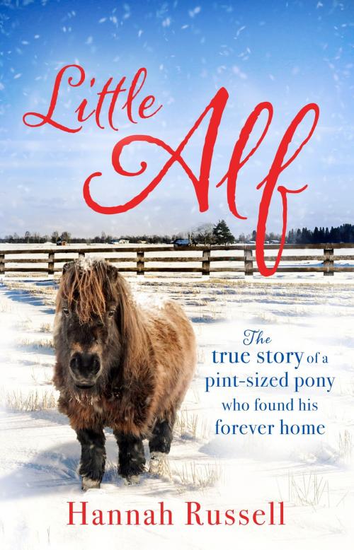 Cover of the book Little Alf by Hannah Russell, Little, Brown Book Group