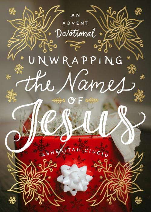 Cover of the book Unwrapping the Names of Jesus by Asheritah Ciuciu, Moody Publishers