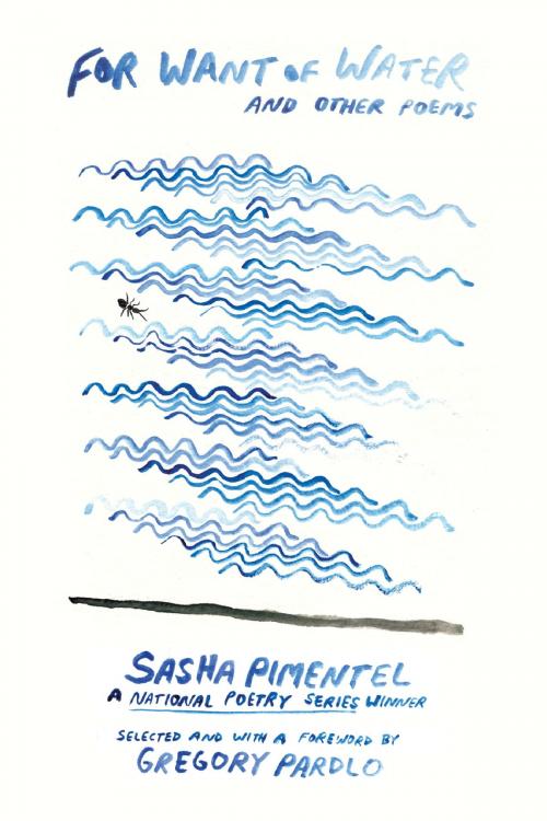 Cover of the book For Want of Water by Sasha Pimentel, Beacon Press