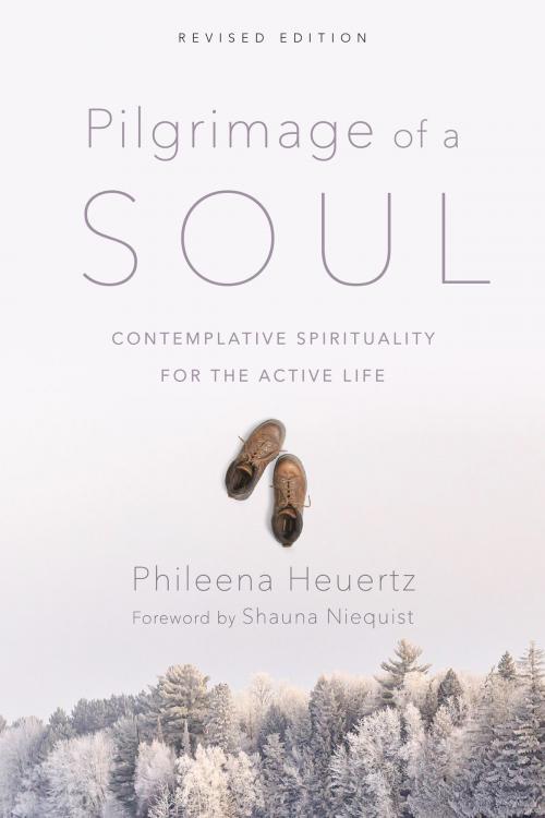 Cover of the book Pilgrimage of a Soul by Phileena Heuertz, IVP Books