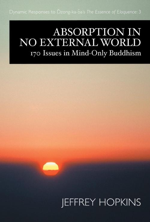 Cover of the book Absorption in No External World by Jeffrey Hopkins, Shambhala