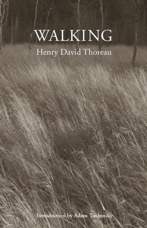 Cover of the book Walking by Henry David Thoreau, Tilbury House Publishers
