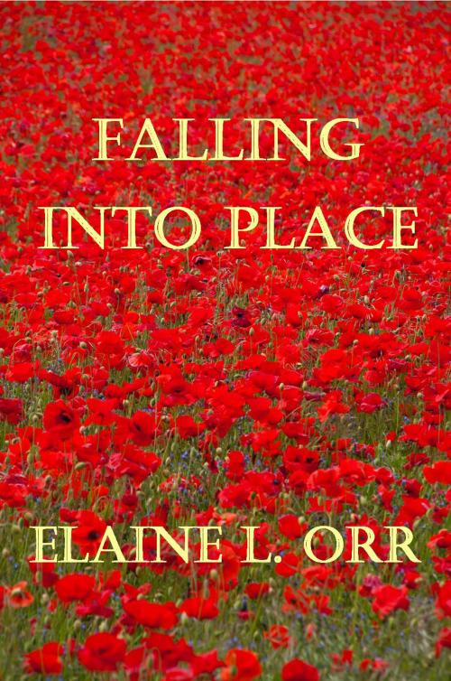 Cover of the book Falling Into Place by Elaine L. Orr, Lifelong Dreams Publishing