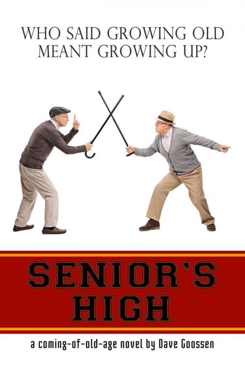 Cover of the book Senior's High by Dave Goossen, David Goossen