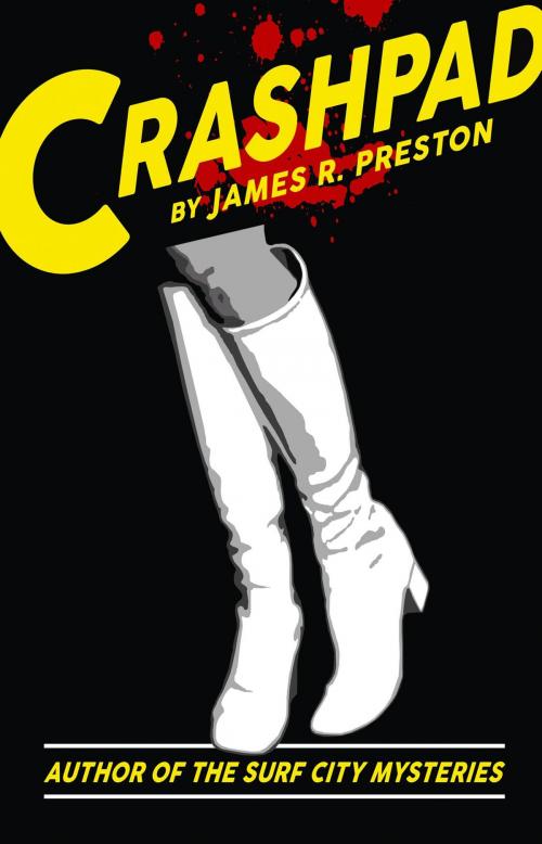 Cover of the book Crashpad by James R Preston, Niche Communications