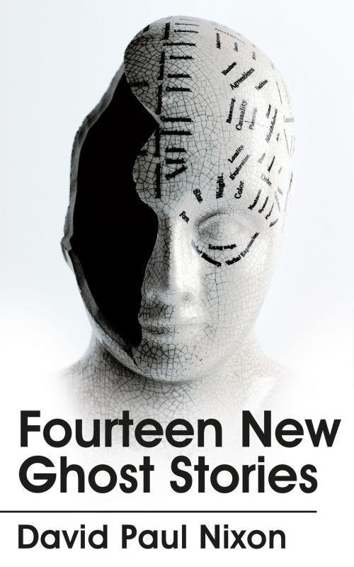 Cover of the book Fourteen New Ghost Stories by David Paul Nixon, David Paul Nixon