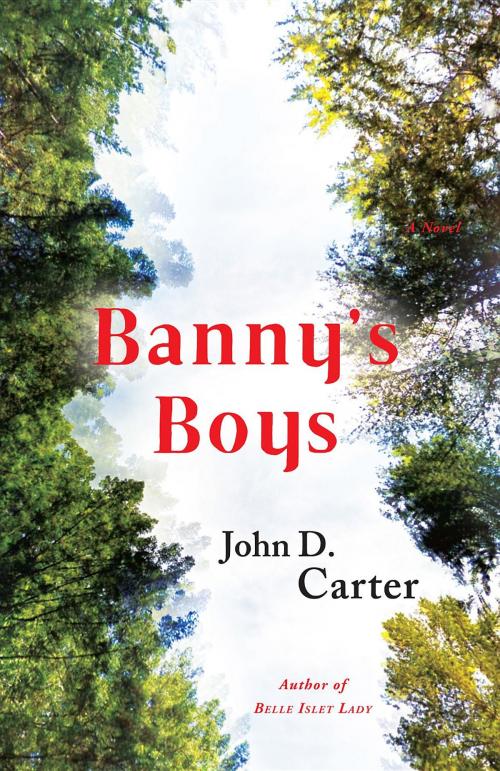 Cover of the book Banny's Boys by John D. Carter, John Carter