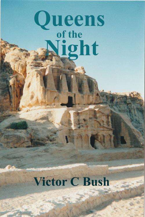 Cover of the book Queens of the Night by Victor C Bush, Victor C Bush