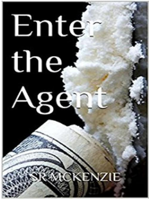 Cover of the book Enter the Agent - R version by S.R. McKenzie, S.R. McKenzie
