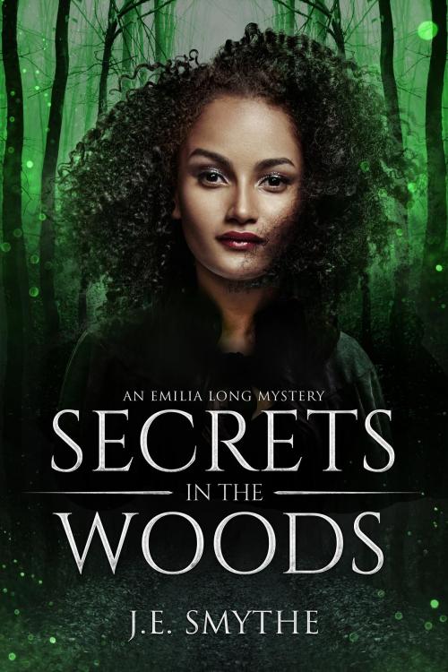 Cover of the book Secrets in the Woods by J.E. Smythe, Lady Esquire Group, LLC