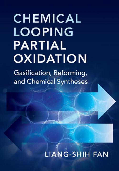 Cover of the book Chemical Looping Partial Oxidation by Liang-Shih Fan, Cambridge University Press