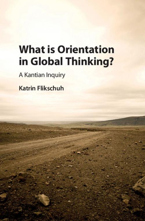 Cover of the book What is Orientation in Global Thinking? by Katrin Flikschuh, Cambridge University Press