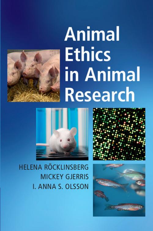 Cover of the book Animal Ethics in Animal Research by Helena Röcklinsberg, Mickey Gjerris, I. Anna S. Olsson, Cambridge University Press