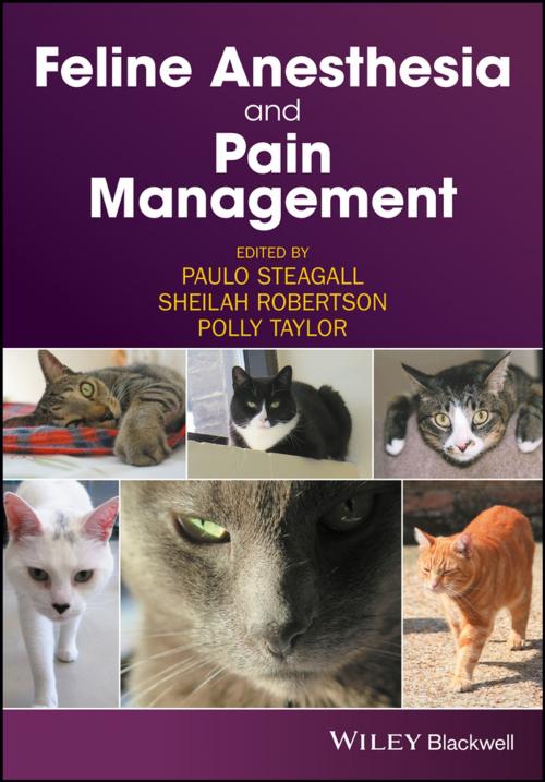 Cover of the book Feline Anesthesia and Pain Management by , Wiley