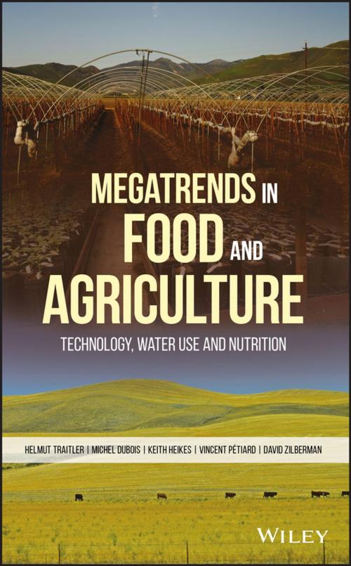 Cover of the book Megatrends in Food and Agriculture by David Zilberman, Helmut Traitler, Vincent Petiard, Keith Heikes, Michel Dubois, Wiley