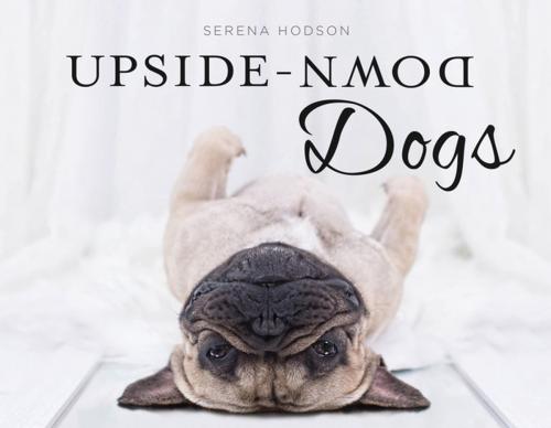 Cover of the book Upside-Down Dogs by Serena Hodson, St. Martin's Press