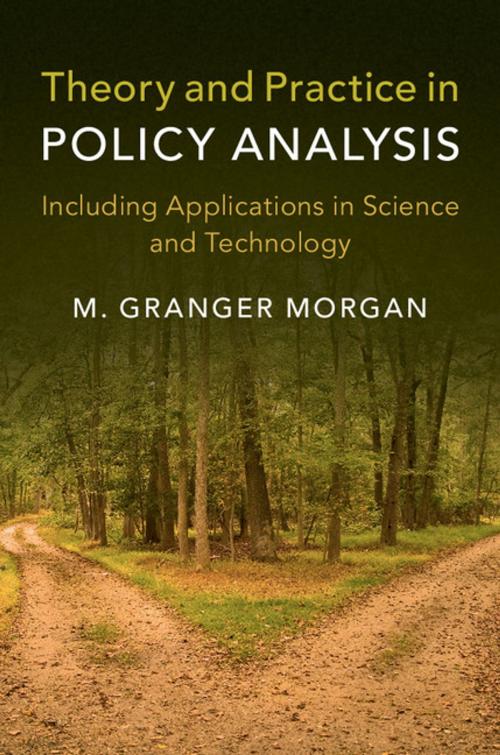 Cover of the book Theory and Practice in Policy Analysis by M. Granger Morgan, Cambridge University Press