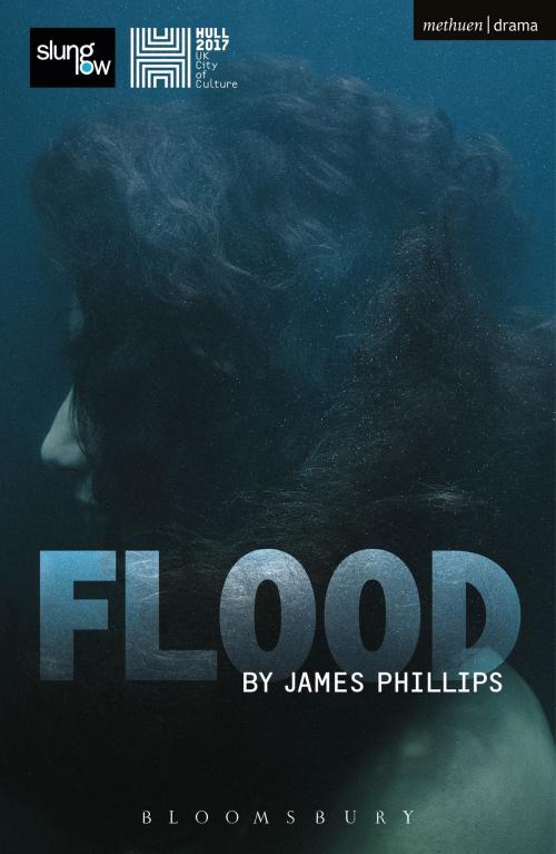 Cover of the book Flood by James Phillips, Bloomsbury Publishing