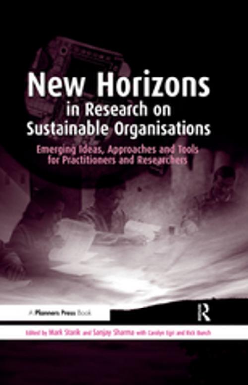 Cover of the book New Horizons in Research on Sustainable Organisations by , Taylor and Francis