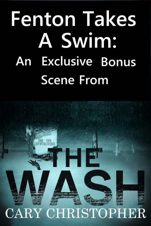 Cover of the book Fenton Takes a Swim: A Bonus Chapter from The Wash by Cary Christopher, Cary Christopher