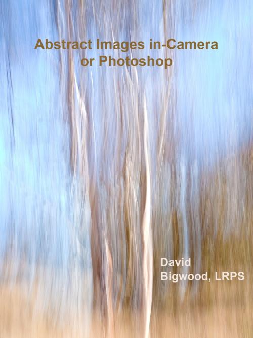 Cover of the book Abstract Images in-Camera or Photoshop by David Bigwood, David Bigwood
