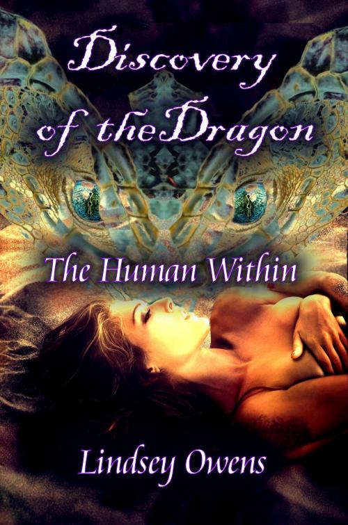 Cover of the book Discovery of the Dragon by Lindsey Owens, Lindsey Owens