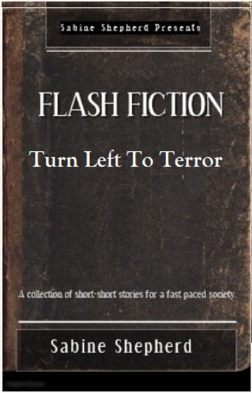 Cover of the book Turn Left to Terror-Flash Fiction by Sabine Shepherd, Sabine Shepherd