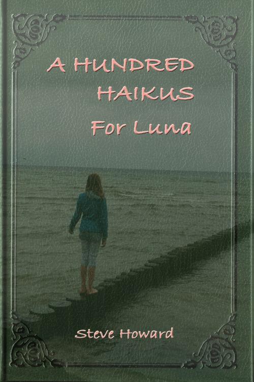 Cover of the book A Hundred Haikus For Luna by Steve Howard, Steve Howard
