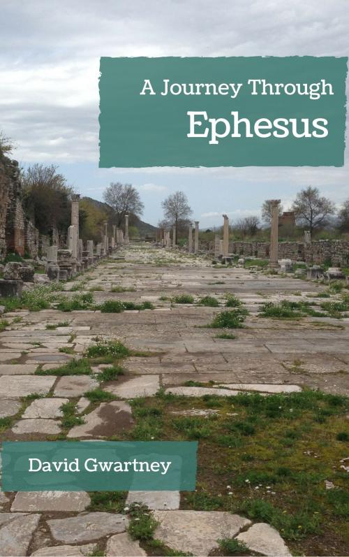 Cover of the book A Journey Through Ephesus by David Gwartney, David Gwartney