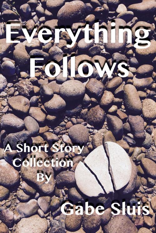 Cover of the book Everything Follows by Gabe Sluis, Gabe Sluis