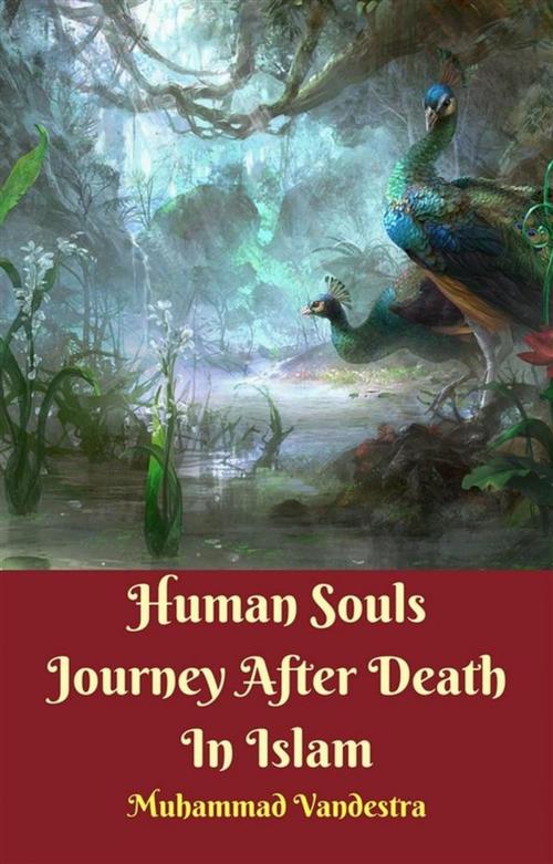 Cover of the book Human Souls Journey After Death In Islam by Muhammad Vandestra, Dragon Promedia