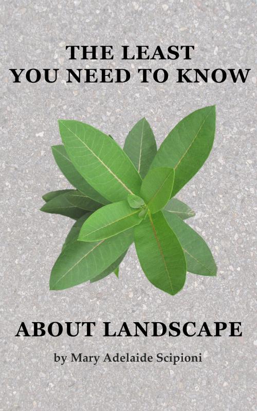 Cover of the book The Least You Need to Know About Landscape by Mary Adelaide Scipioni, Mary Adelaide Scipioni