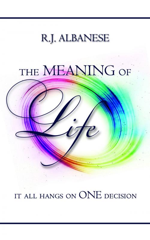 Cover of the book The Meaning of Life by RJ Albanese, RJ Albanese