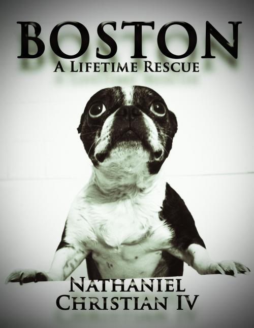 Cover of the book Boston: A Lifetime Rescue by Nathaniel Christian IV, Nathaniel Christian IV