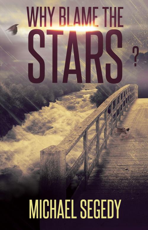 Cover of the book Why Blame the Stars? by Michael Segedy, Michael Segedy