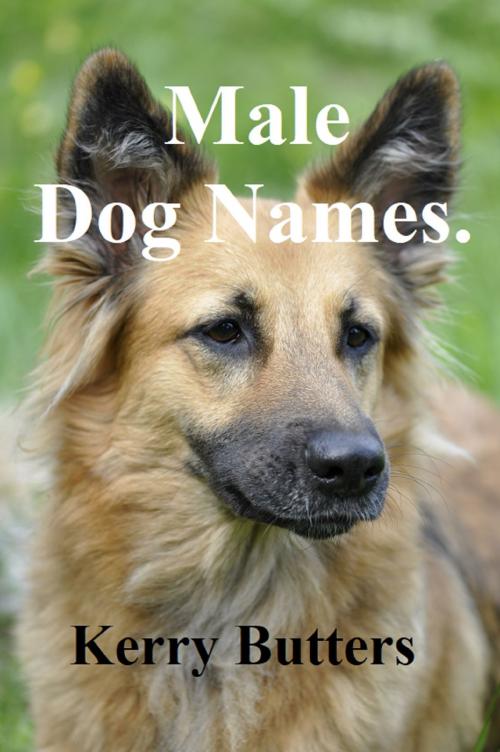 Cover of the book Male Dog Names. by Kerry Butters, Kerry Butters
