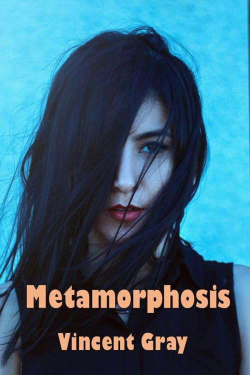 Cover of the book Metamorphosis by Vincent Gray, Vincent Gray